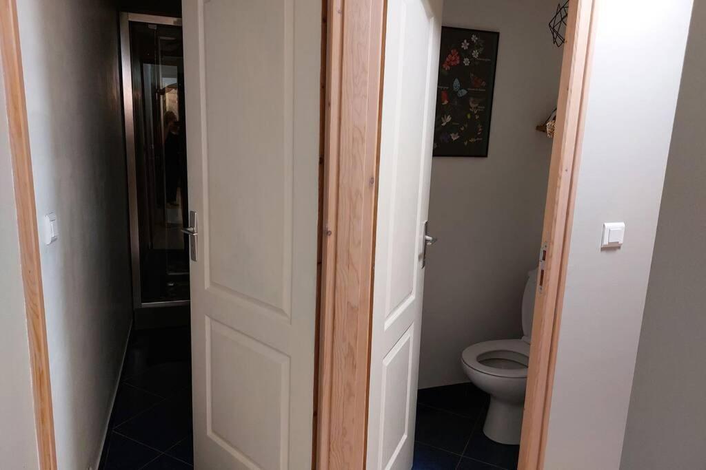 Studio Cosy De 2 A 4 Personnes Au Coeur Du Haut Doubs, Entre Les Lacs, Les Montagnes Et Les Vignobles Apartman Frasne Kültér fotó